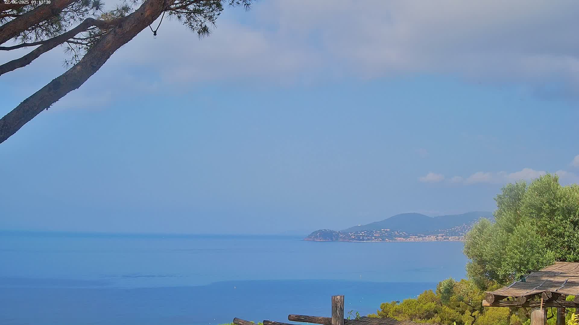 A tranquil coastal scene under a mostly clear sky shows a calm blue sea extending to a distant mountainous shoreline, partially obscured by a tree branch in the foreground and some low shrubs.