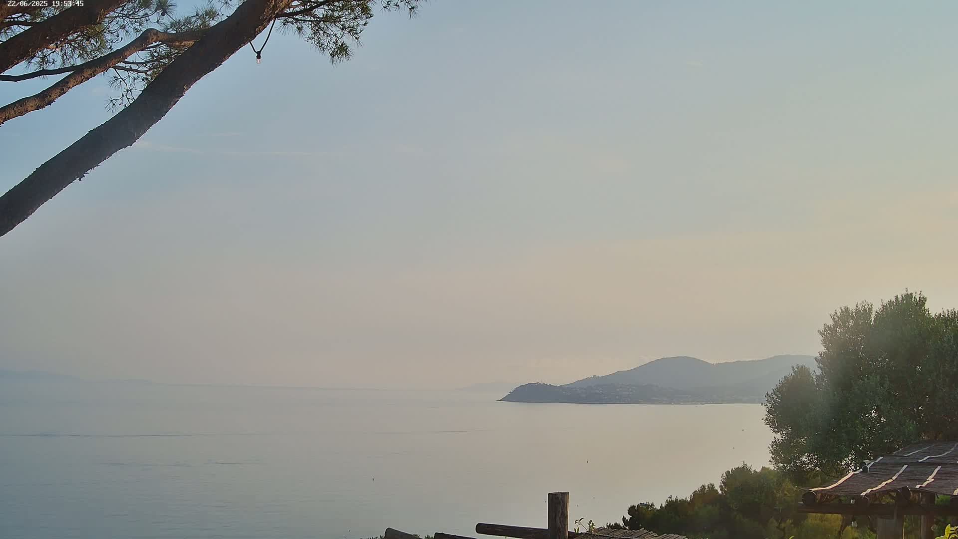 A hazy, calm sea stretches out to a distant, hilly coastline under a pale sky, partially obscured by tree branches in the foreground.
