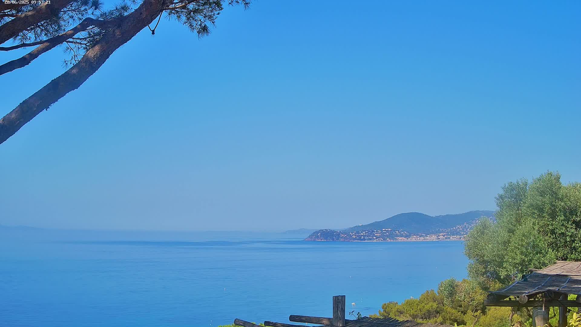 A tranquil ocean view on a clear, sunny day, with a portion of a pine tree in the foreground and distant hills visible across the water.