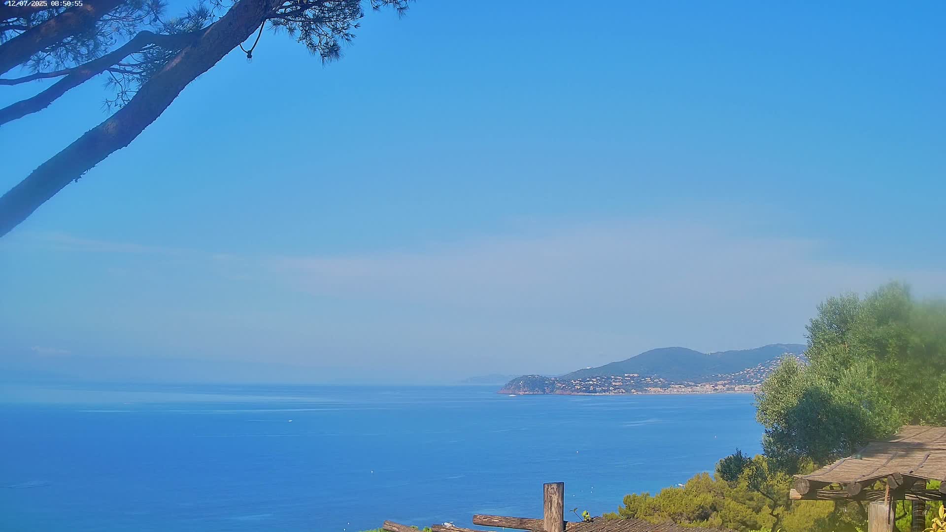 Lily of the Valley, La Croix-Valmer Panaromic Live Cam - Draguignan,  Var, Provence-Alpes-Cote d’Azur, France