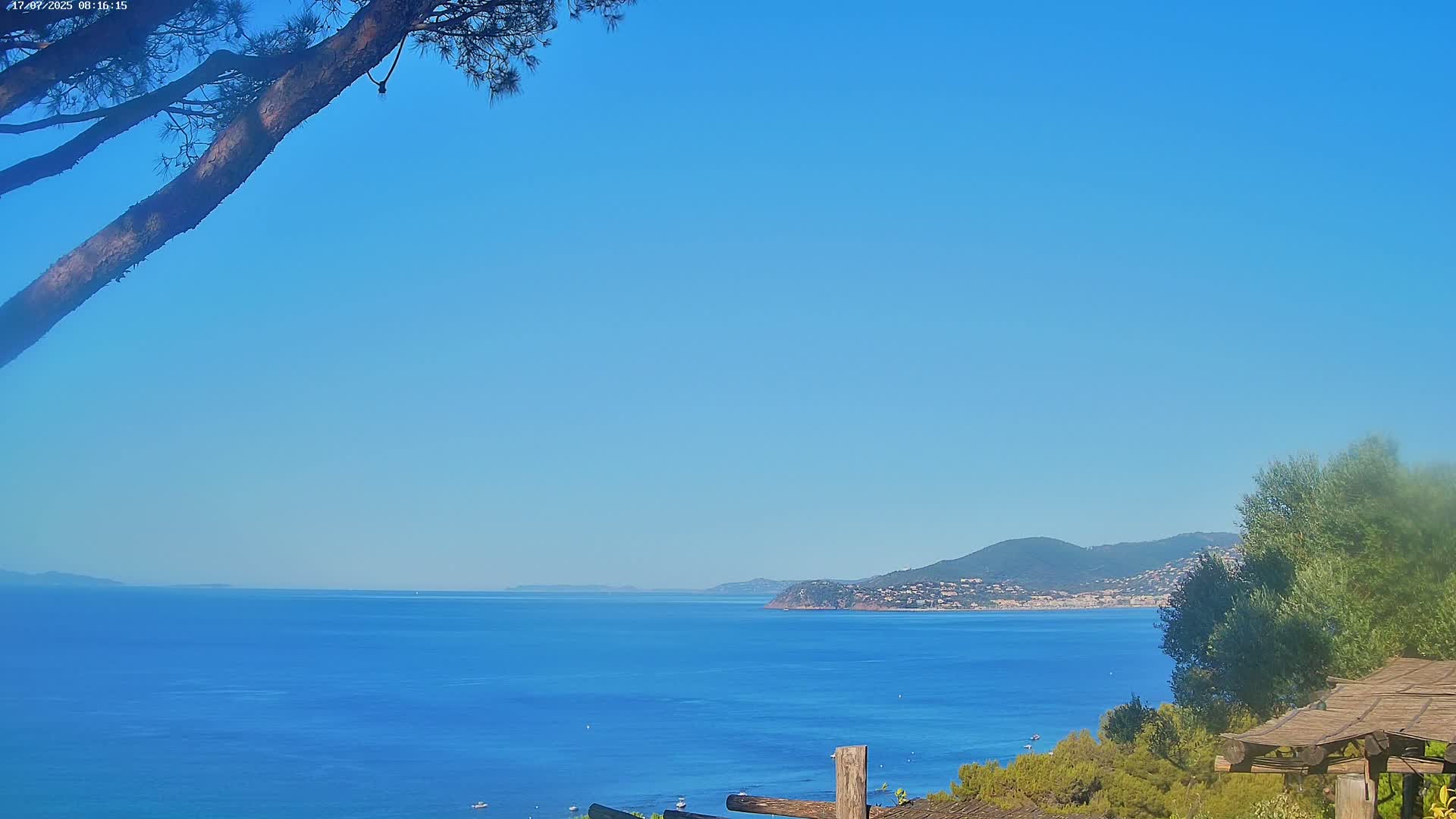 A clear blue sky overlooks a calm, expansive blue sea with a distant mountain range and shoreline, partially obscured by a pine tree branch in the foreground.