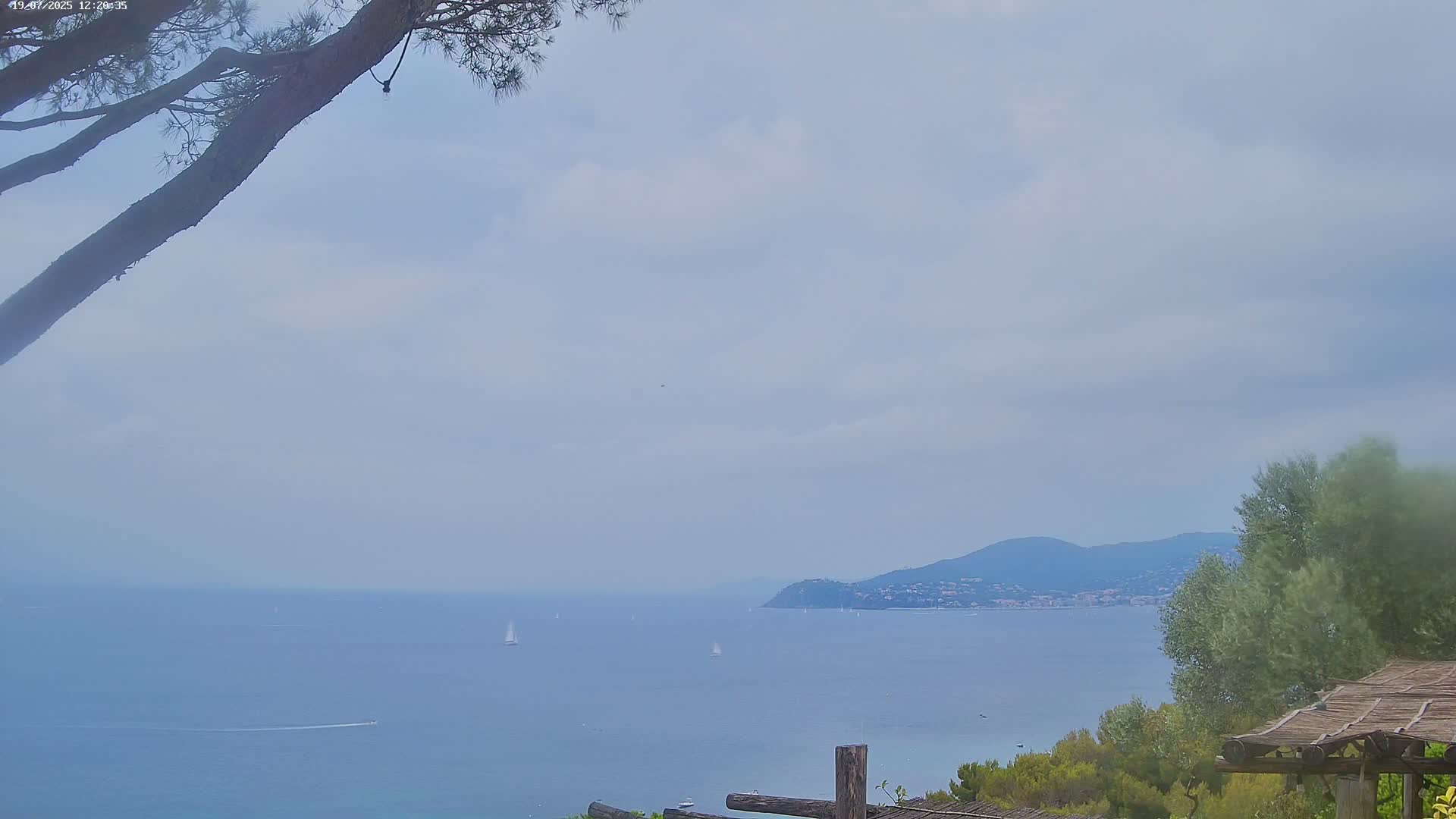 Lily of the Valley, La Croix-Valmer Panaromic Live Cam - Draguignan,  Var, Provence-Alpes-Cote d’Azur, France