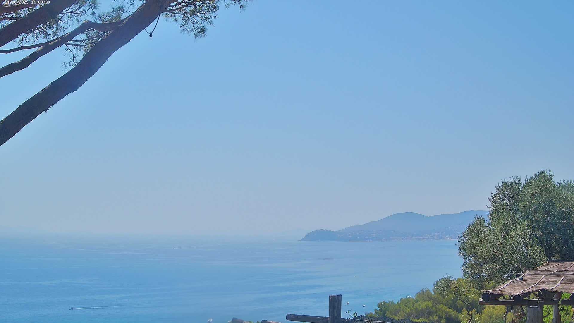 Lily of the Valley, La Croix-Valmer Panaromic Live Cam - Draguignan,  Var, Provence-Alpes-Cote d’Azur, France