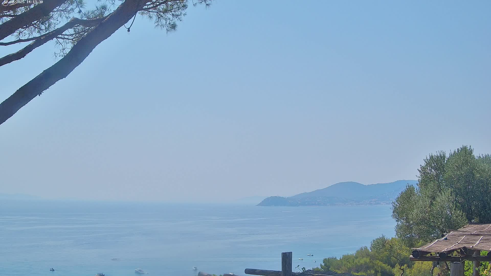 Lily of the Valley, La Croix-Valmer Panaromic Live Cam - Draguignan,  Var, Provence-Alpes-Cote d’Azur, France