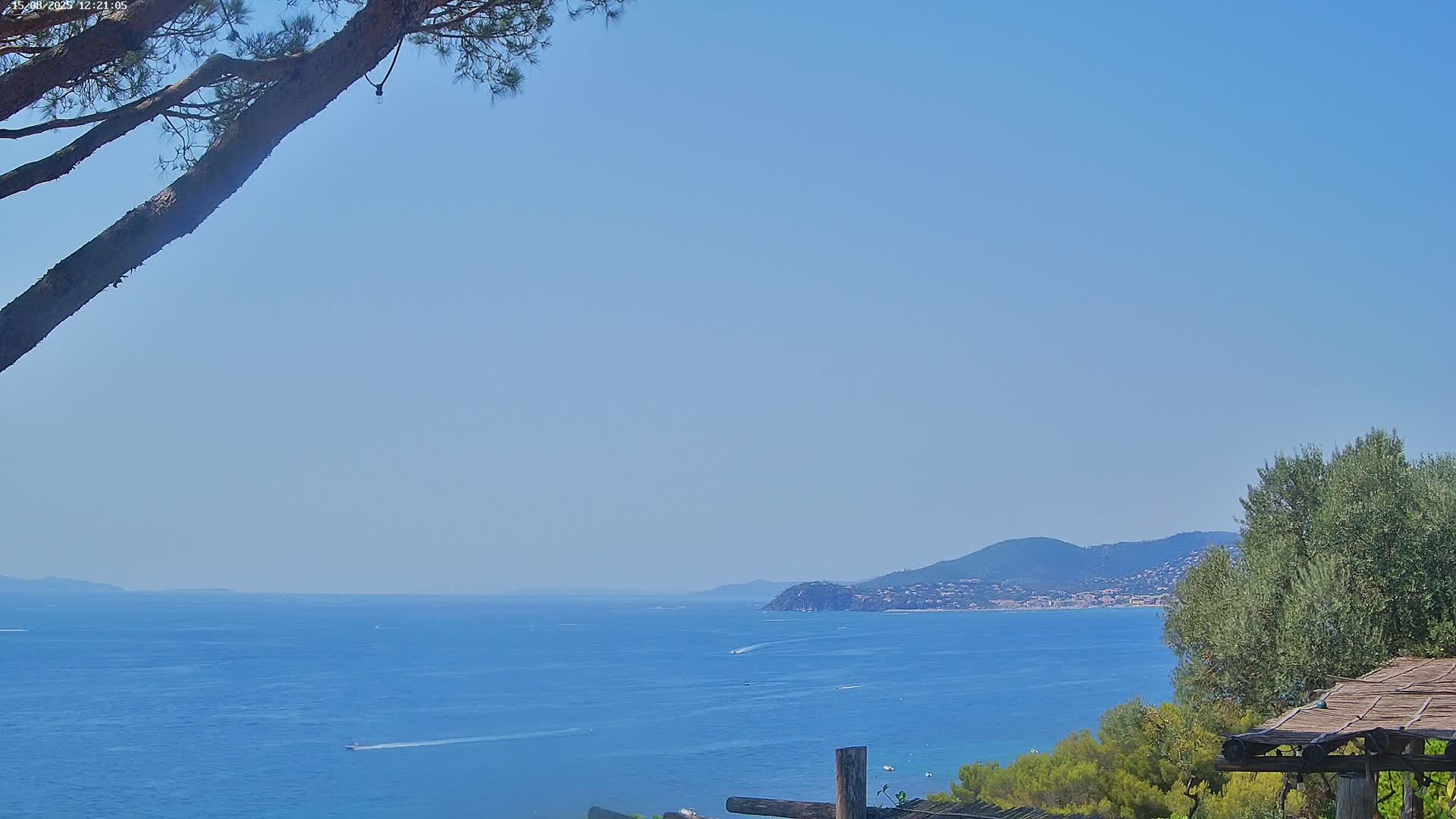 A clear blue sky overlooks a calm, expansive blue sea with a distant mountain range and shoreline, partially obscured by a pine tree branch in the foreground.