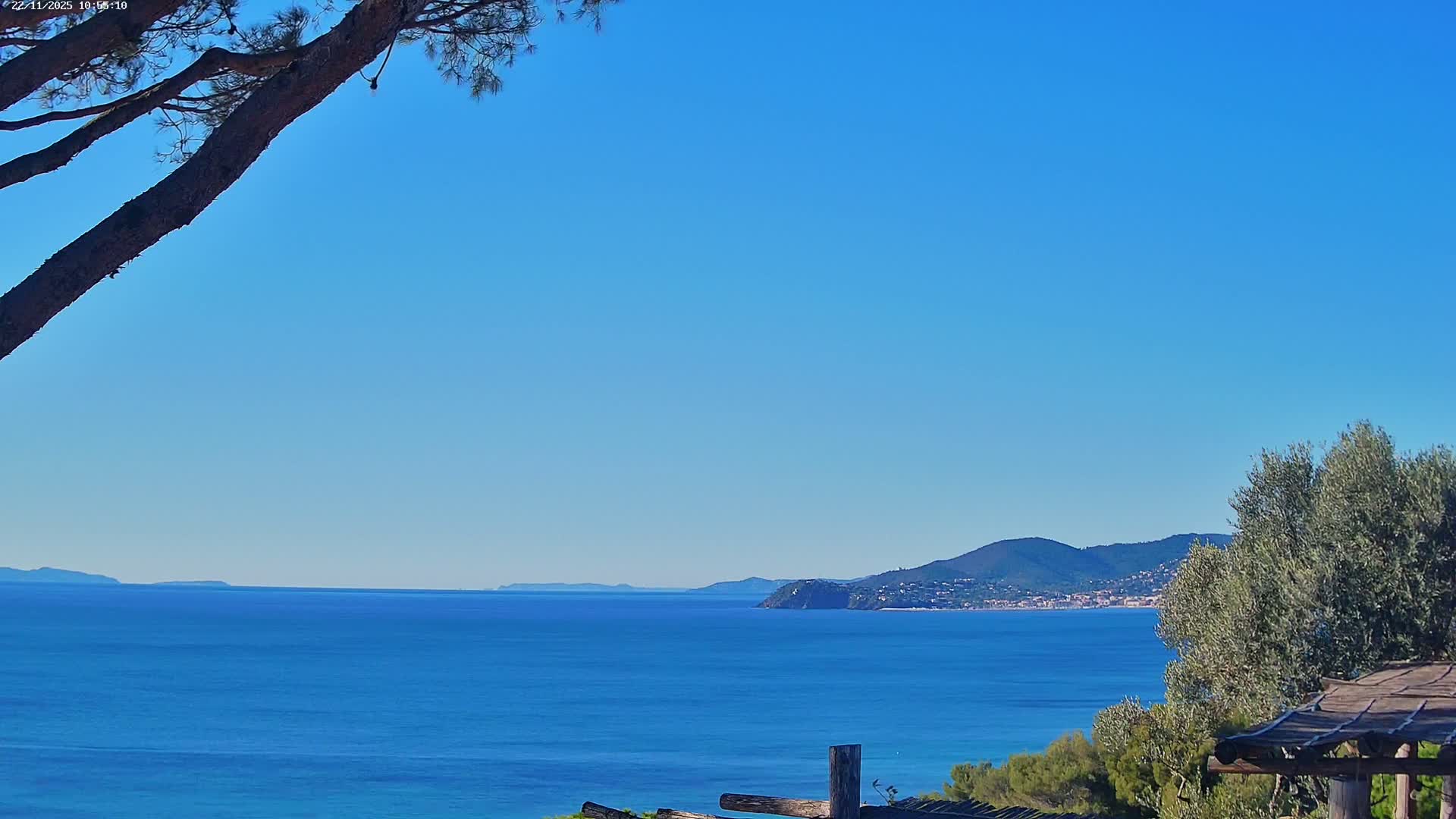 Under a clear, vibrant blue sky, a vast, calm blue sea stretches towards a distant mountainous coastline featuring a town, with a large tree branch framing the upper left and green foliage along with a rustic wooden structure in the lower right foreground.