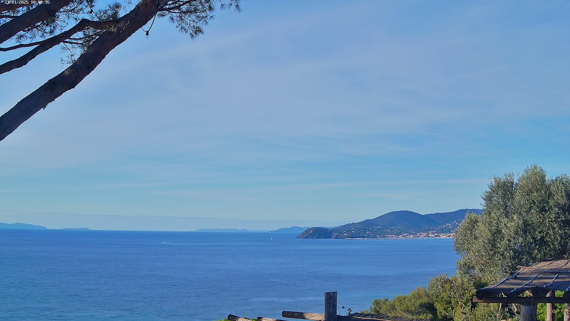 Under a clear blue sky, a serene coastal view displays calm blue waters stretching towards distant landmasses and a town nestled along a green mountainous coastline, all framed by a prominent tree branch in the upper left and various foliage with a rustic wooden structure in the lower right.