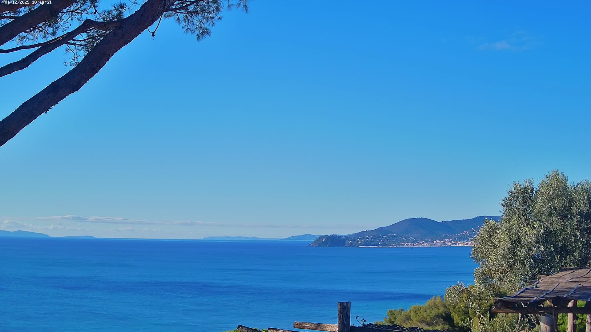 On a bright, clear day, a serene blue sea stretches towards distant green mountains and a coastal town, with a large tree branch diagonally spanning the upper left and green foliage in the lower right.