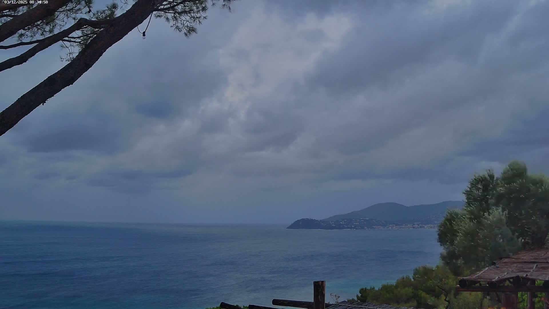A vast, dark blue sea stretches towards a distant, mountainous coastline under a heavy, overcast, and gloomy sky, with a tree branch partially obscuring the upper left and green foliage on the right.
