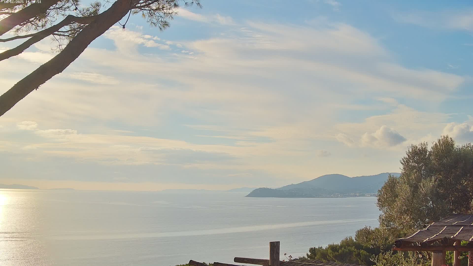 A vast, dark blue sea stretches towards a distant, mountainous coastline under a heavy, overcast, and gloomy sky, with a tree branch partially obscuring the upper left and green foliage on the right.