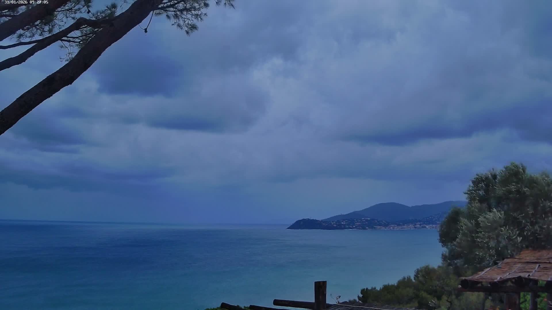 Lily of the Valley, La Croix-Valmer Panaromic Live Cam - Draguignan,  Var, Provence-Alpes-Cote d’Azur, France