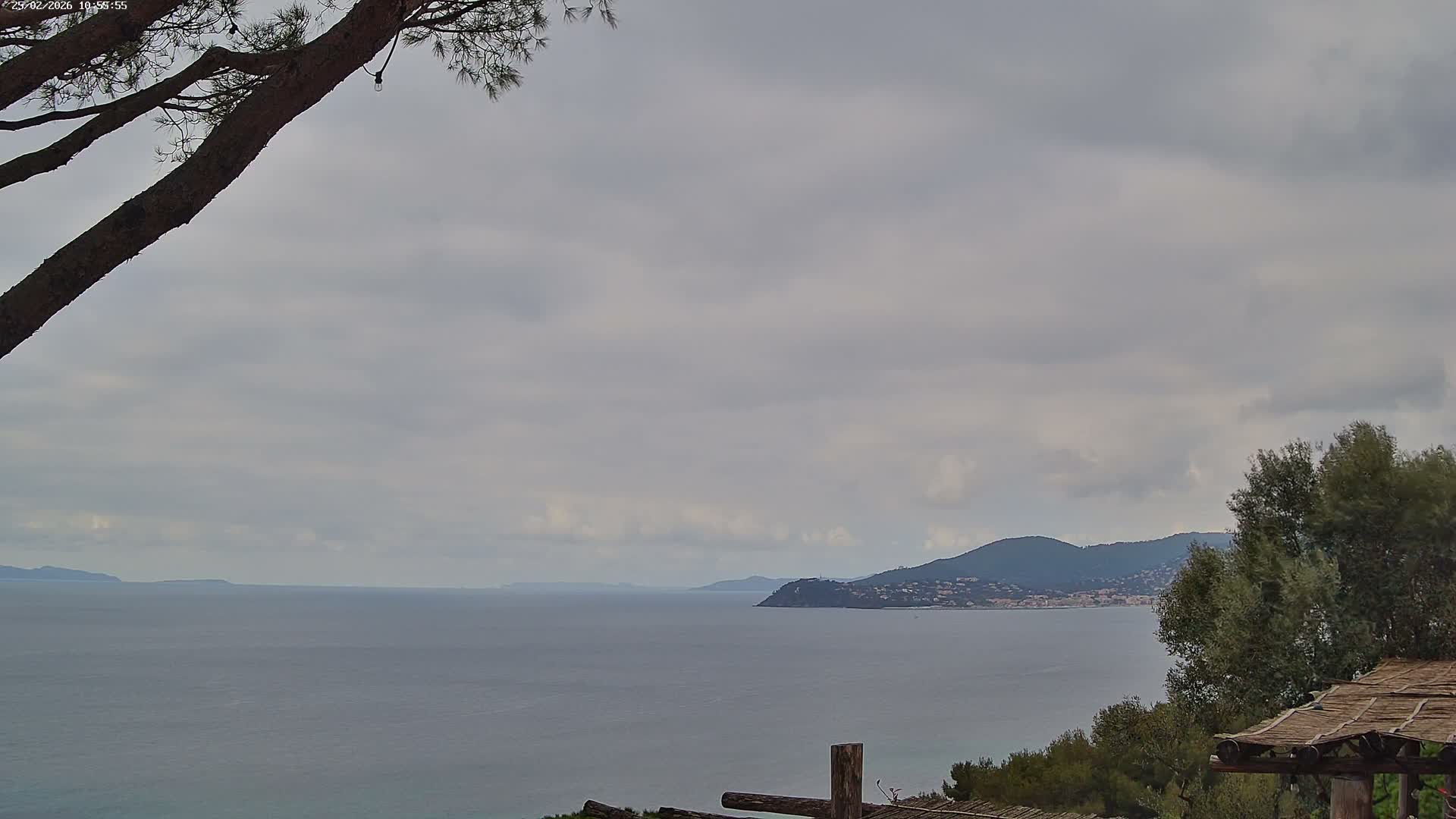 Lily of the Valley, La Croix-Valmer Panaromic Live Cam - Draguignan,  Var, Provence-Alpes-Cote d’Azur, France