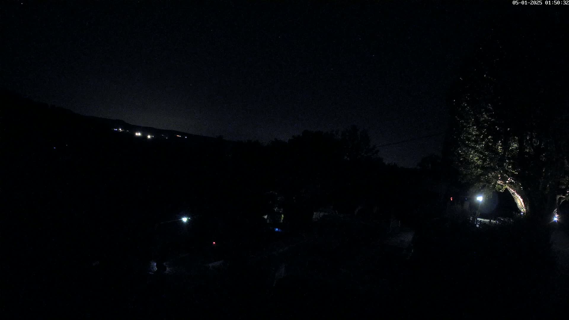 A dark night scene shows a few distant lights on a hill, silhouetted trees, and a lit area near a large tree in the lower right.