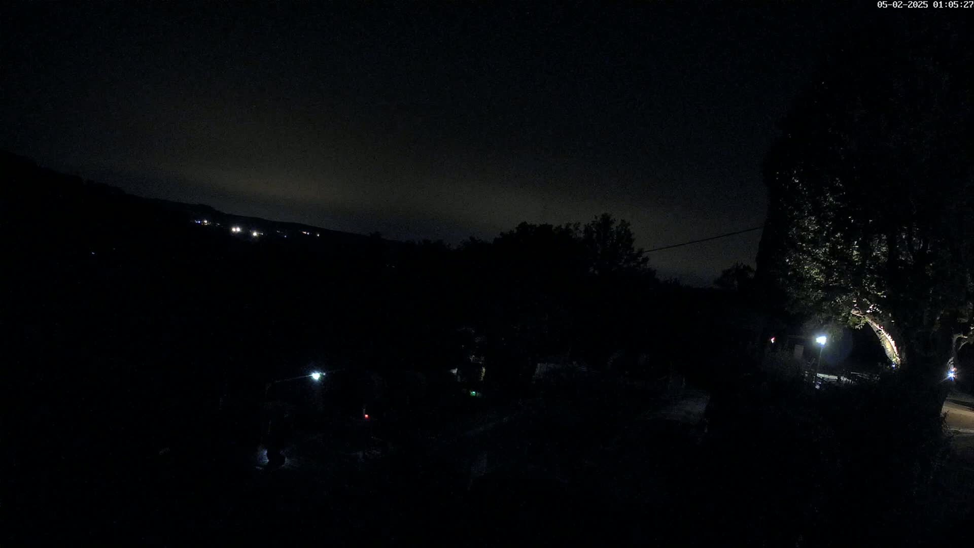 A nighttime scene shows dimly lit figures near trees and bushes, with a dark, overcast sky and faint lights visible in the distance.