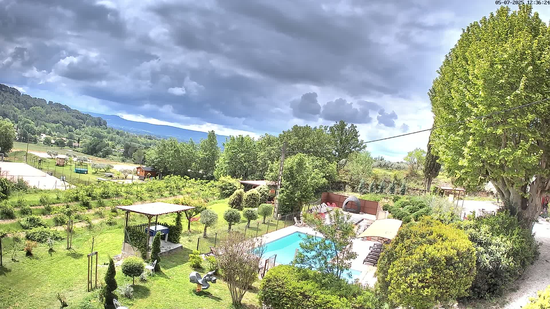 A swimming pool sits in a lush green garden, overlooked by a large tree, under a partly cloudy sky.