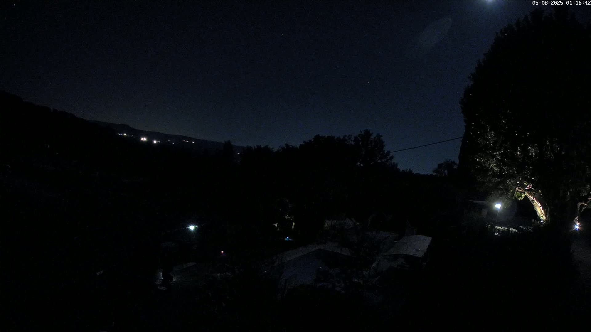 A nighttime view of a dimly lit landscape featuring trees, a moonlit sky, and distant lights from a town or village in the background.