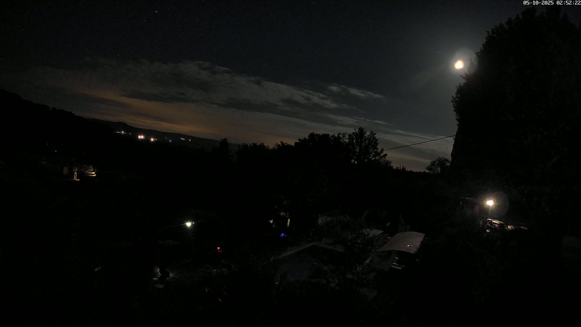 A nighttime view of a moonlit landscape with dark trees, a swimming pool, and distant lights, under a partly cloudy sky.