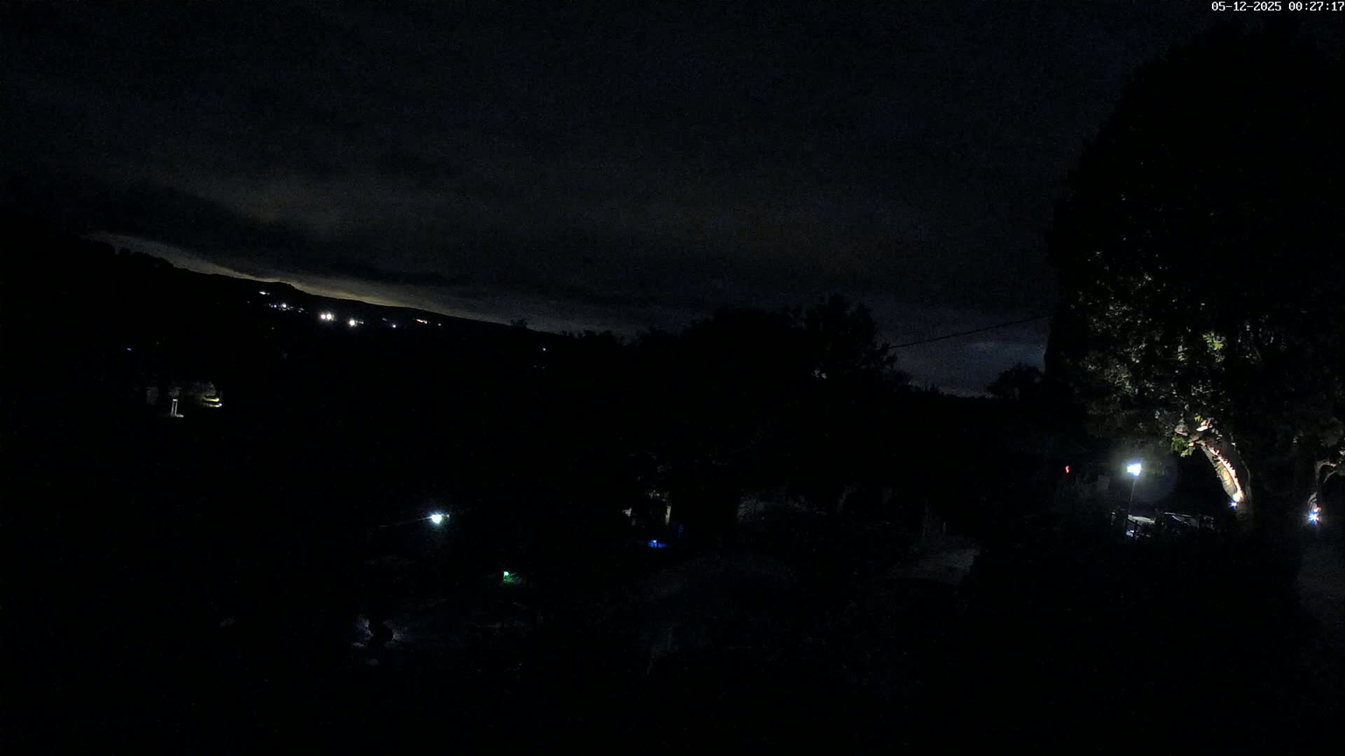 A nighttime view of a dark landscape with a few distant lights and a silhouetted tree illuminated by a lamp.