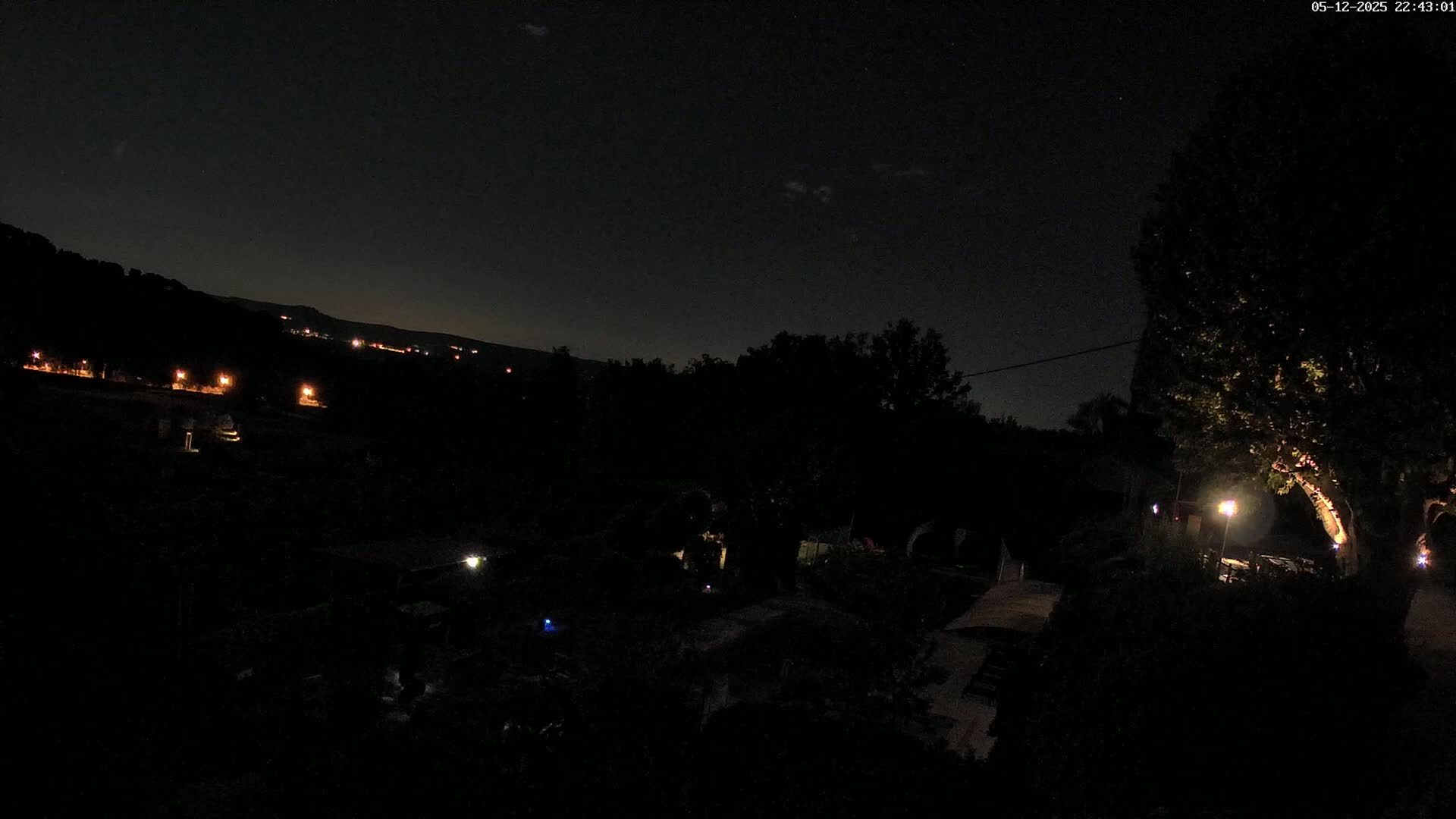 A nighttime view of a dark landscape with a few distant lights and a large tree illuminated in the foreground under a mostly clear, dark sky.