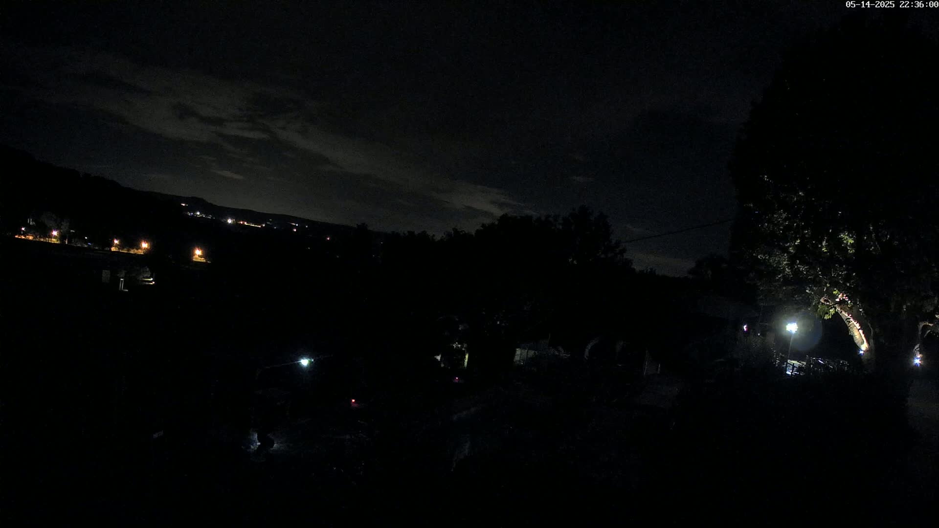 A nighttime view of a dark landscape with a few distant lights, a tree lit by a lamp, and a cloudy sky.
