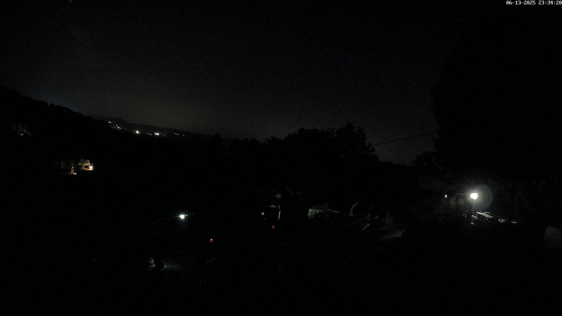 A nighttime, low-light view of a dark landscape with a few distant lights and some trees silhouetted against a star-filled sky.