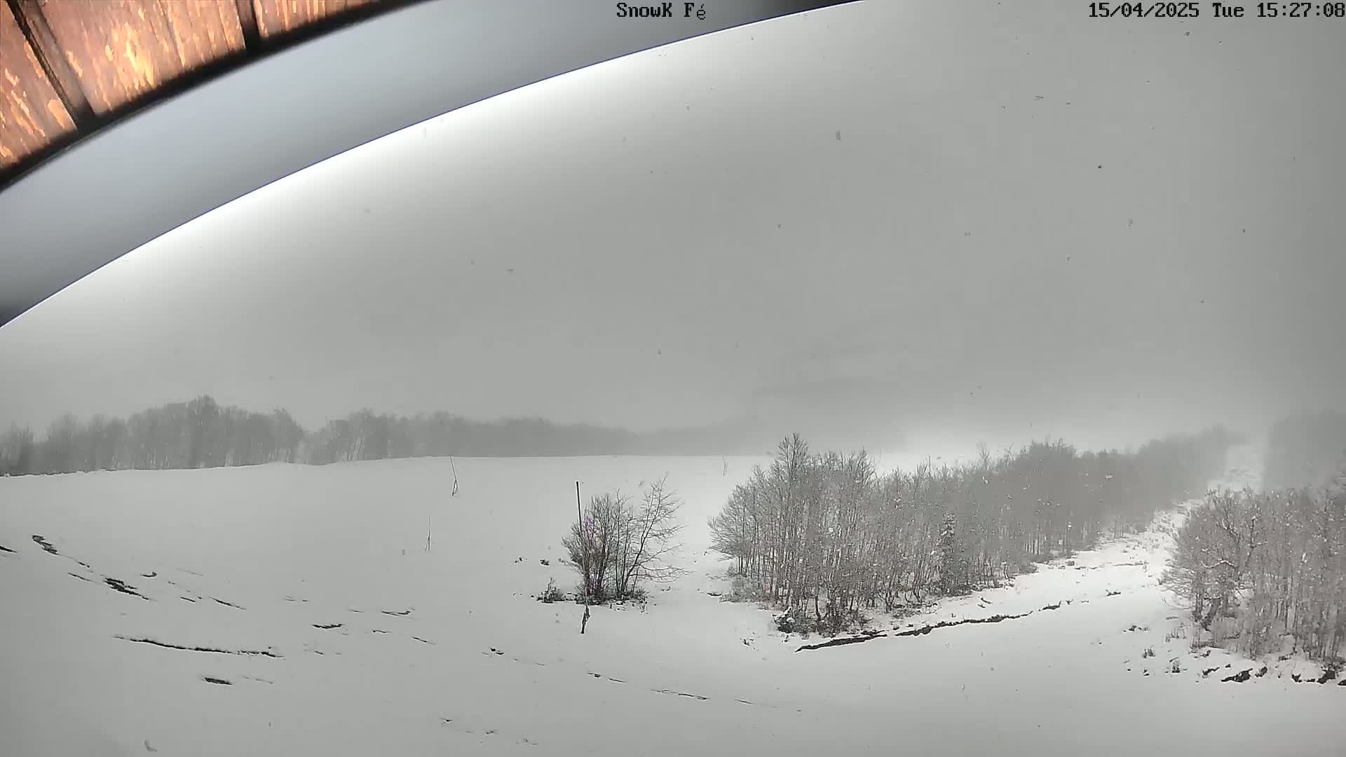 A snow-covered landscape with sparsely wooded areas is visible through a curved window during a light snowfall.