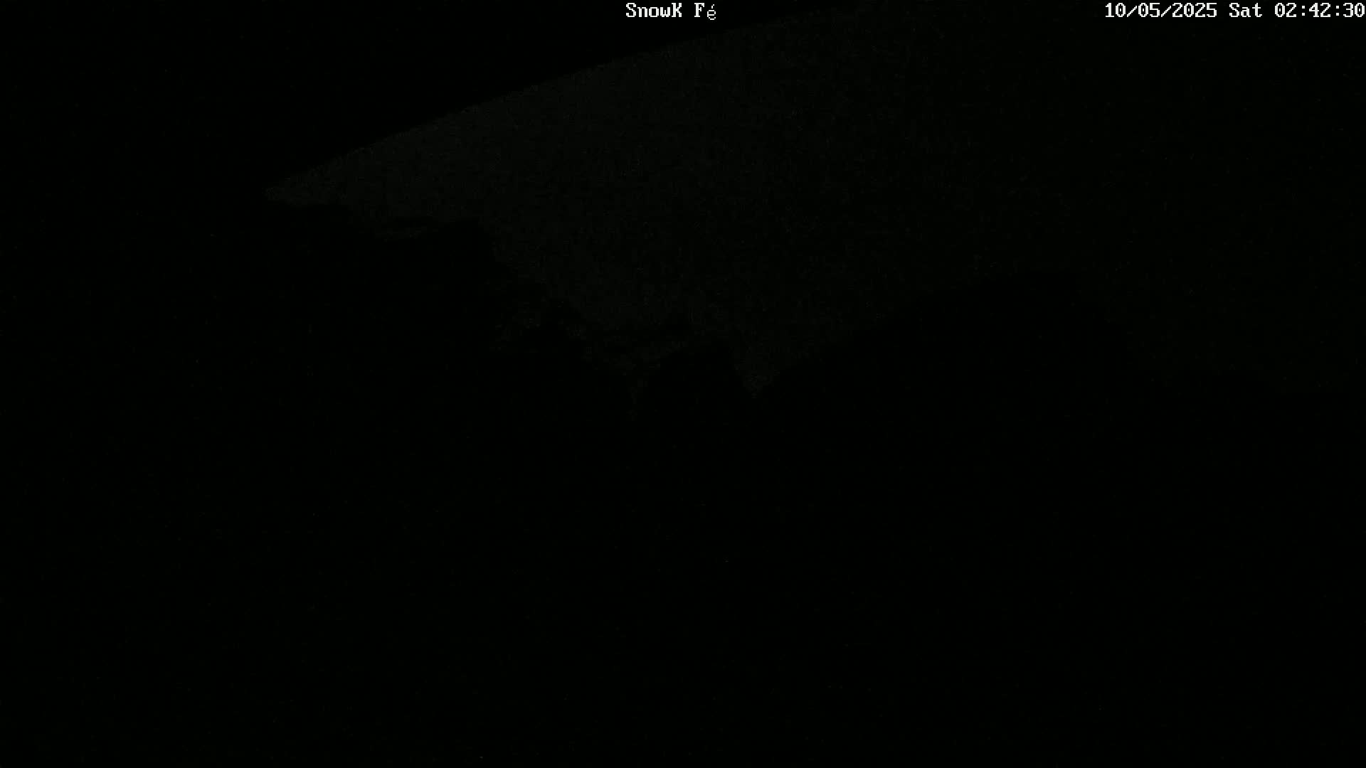 A very dark, nighttime image shows a dimly lit, possibly snowy, landscape.