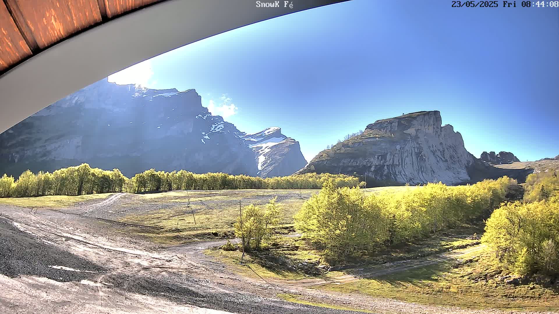 A sunny view shows a gravel area with patches of grass and bright green trees in front of large, imposing mountains, some with snow.
