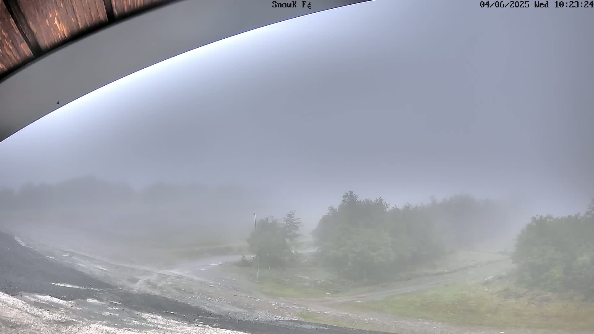 A foggy scene shows a gravel road curving through a misty, wooded area.