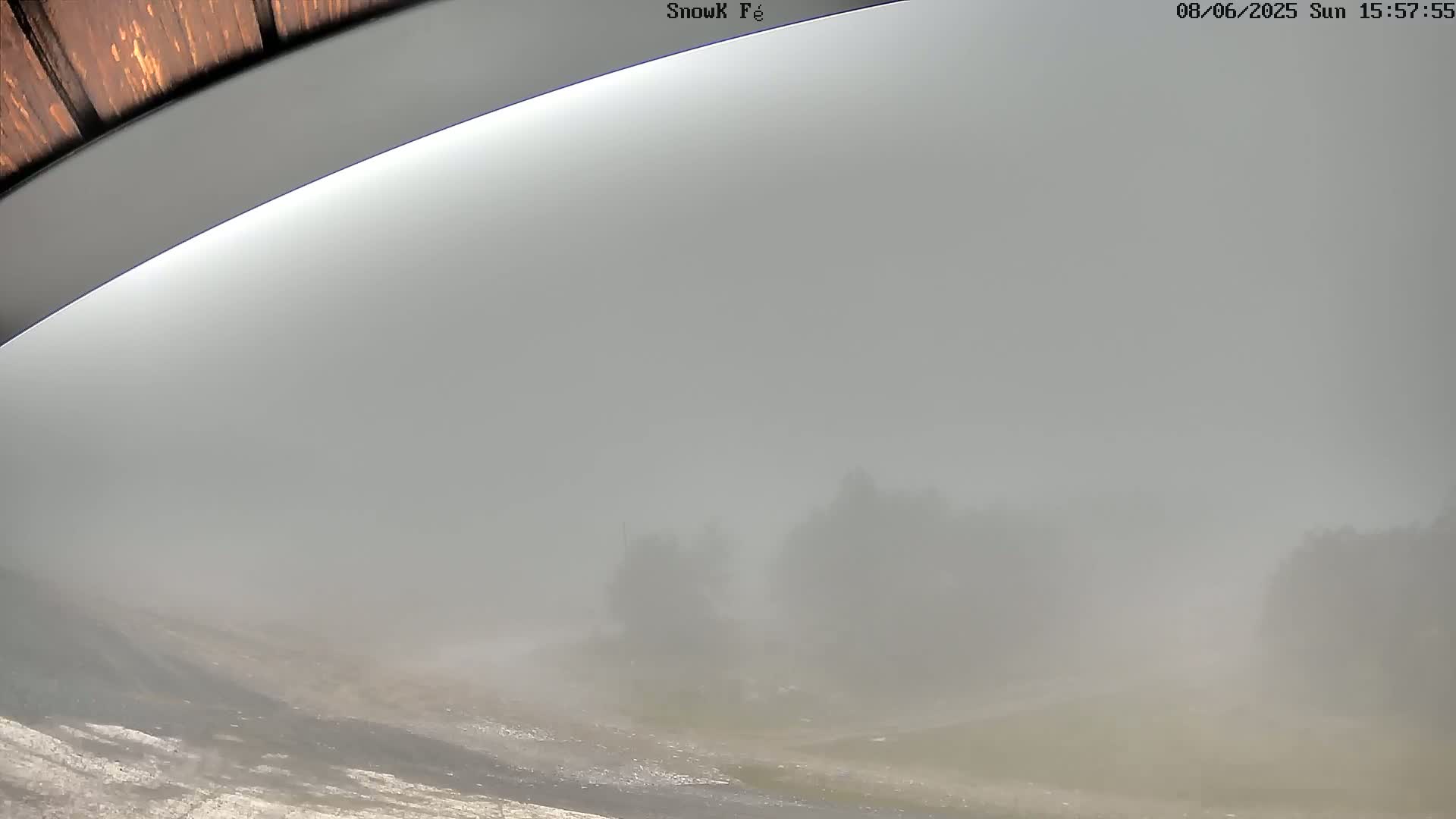 A thick fog obscures the view of a landscape with indistinct trees and a ground that appears to be mostly flat.