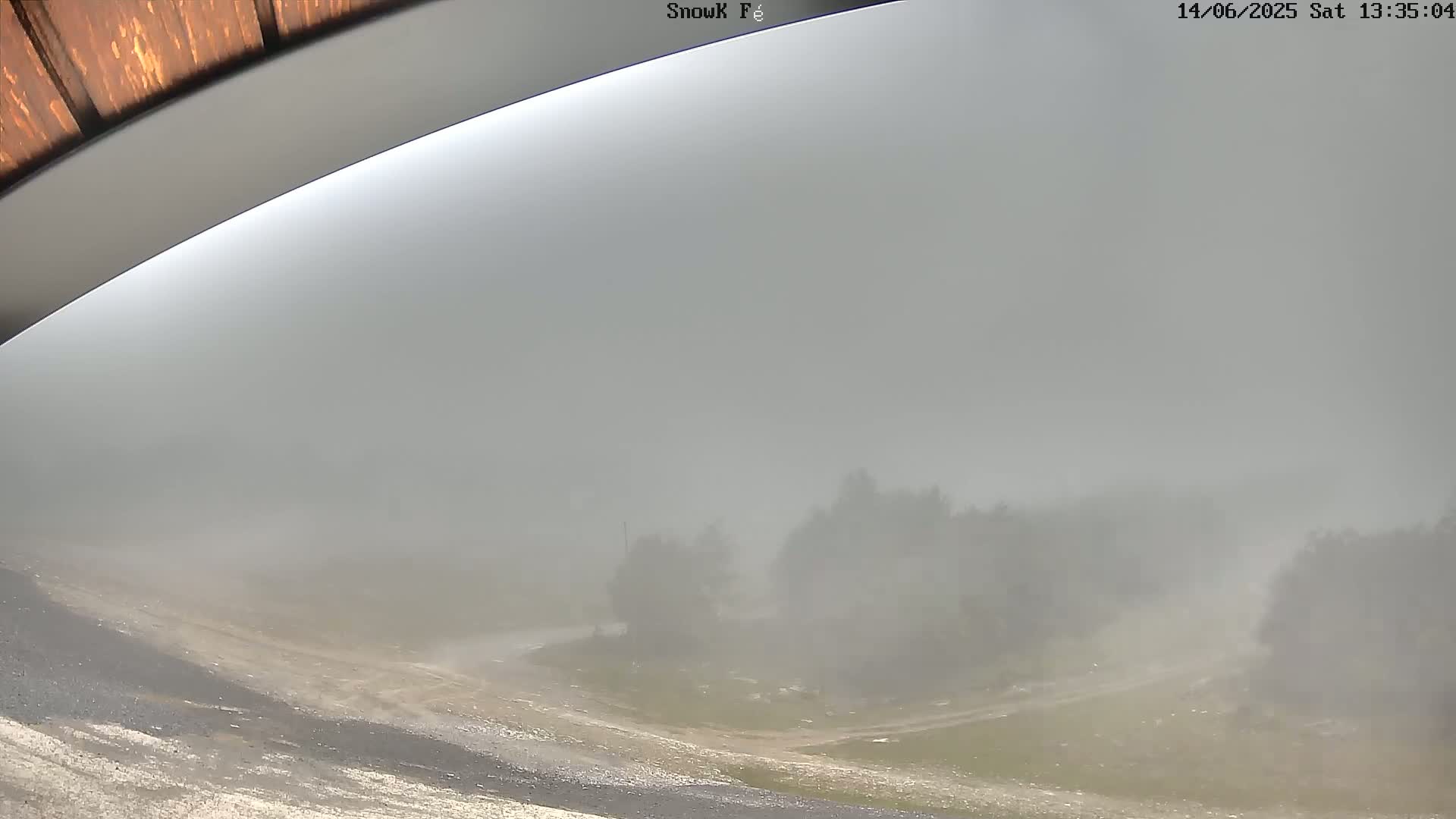 A foggy, overcast day reveals a view of a dirt road curving through a sparsely wooded area, seen from a slightly elevated perspective under a partially visible roof overhang.