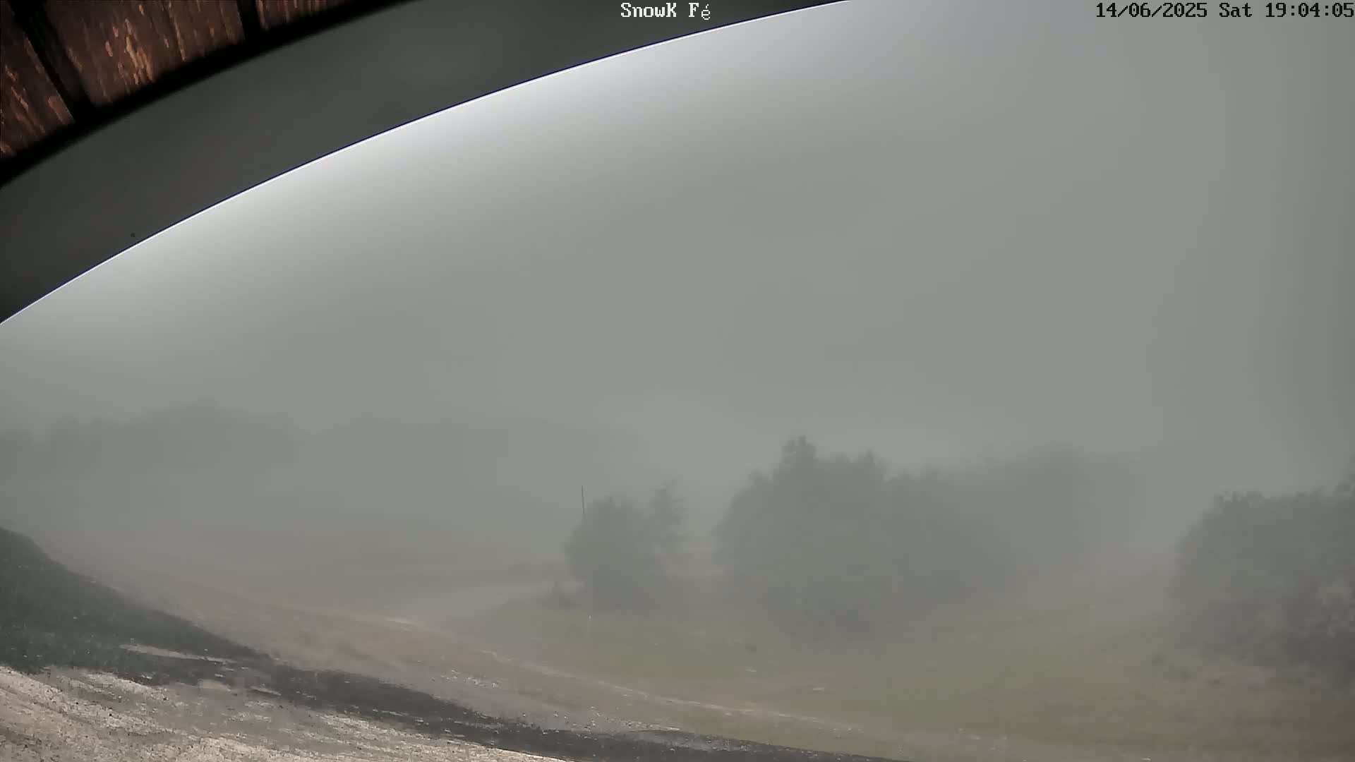 A view from under a covered structure shows a heavily overcast, foggy landscape with dark green trees and a dirt path.