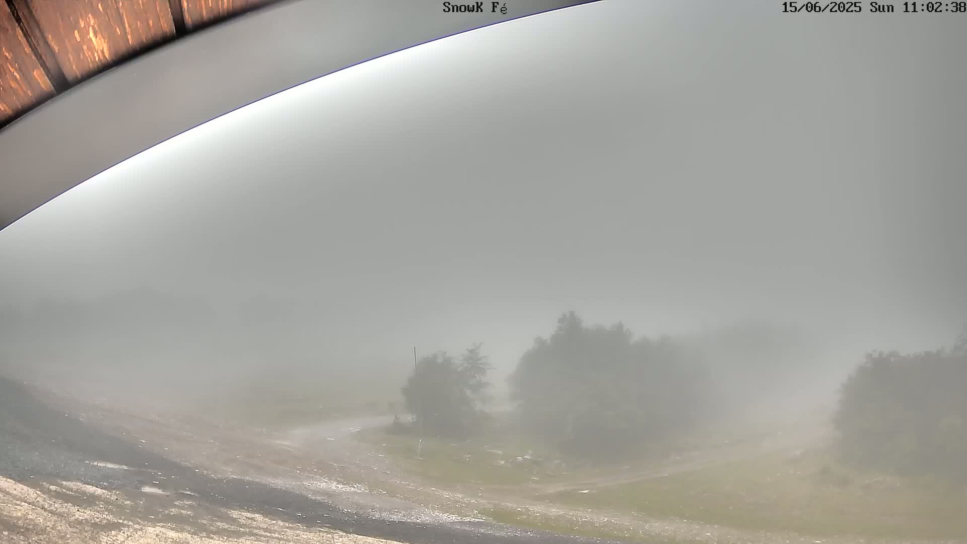 A foggy, overcast scene shows a curving road leading to some trees in the distance, viewed from under a curved, wooden-covered structure.