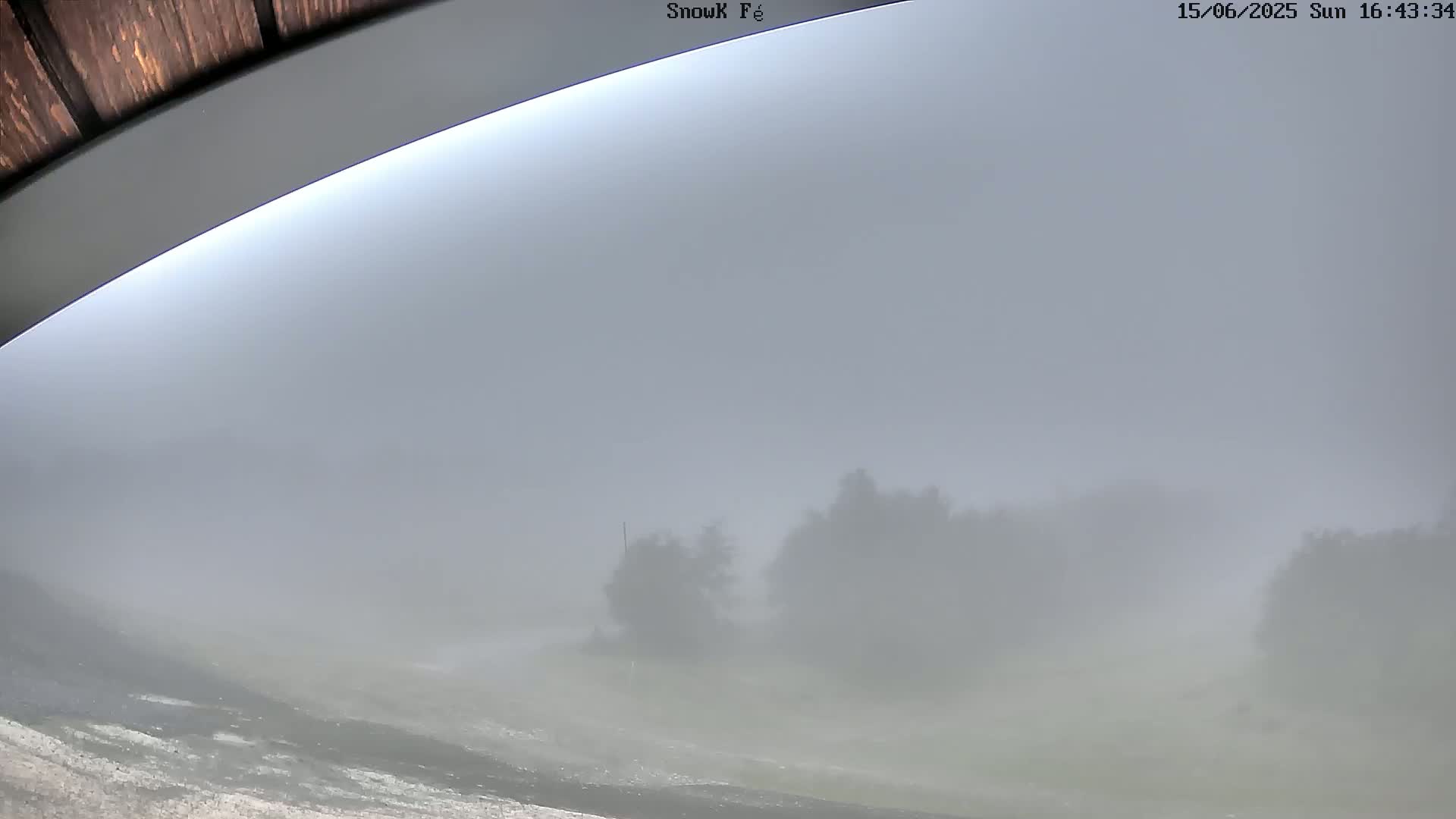 A foggy, low-visibility landscape with indistinct trees and a flat foreground is viewed from a partially visible structure's overhang.