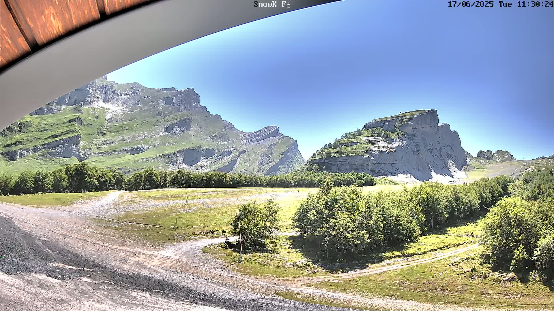 A sunny day reveals a mountainous landscape with grassy plains, dirt roads, and a forest of green trees in front of towering, rocky cliffs.