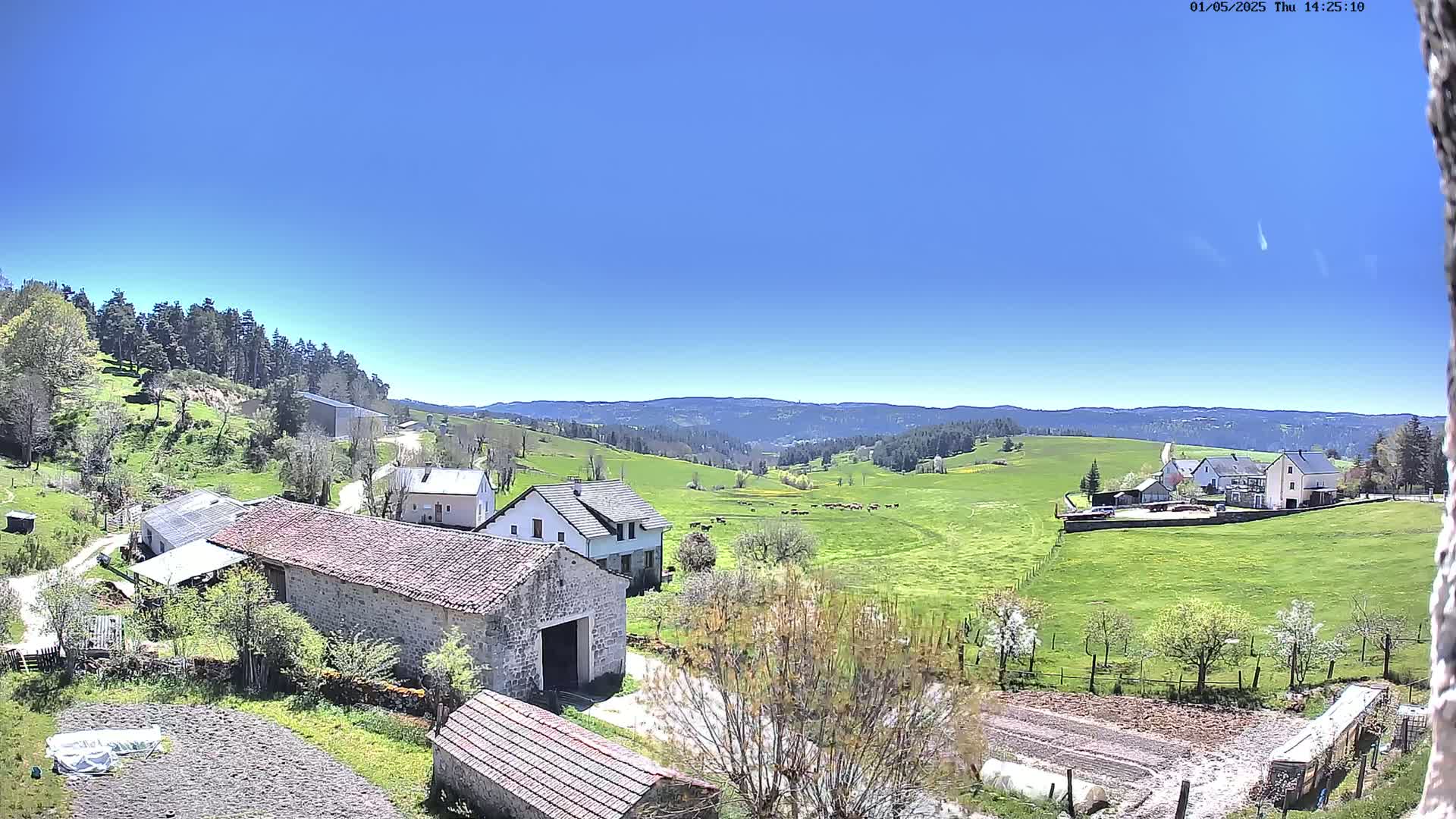 A high-angle view shows a rural landscape under a clear blue sky, featuring several stone buildings, green pastures with cattle, and a forest-covered mountain range in the distance.