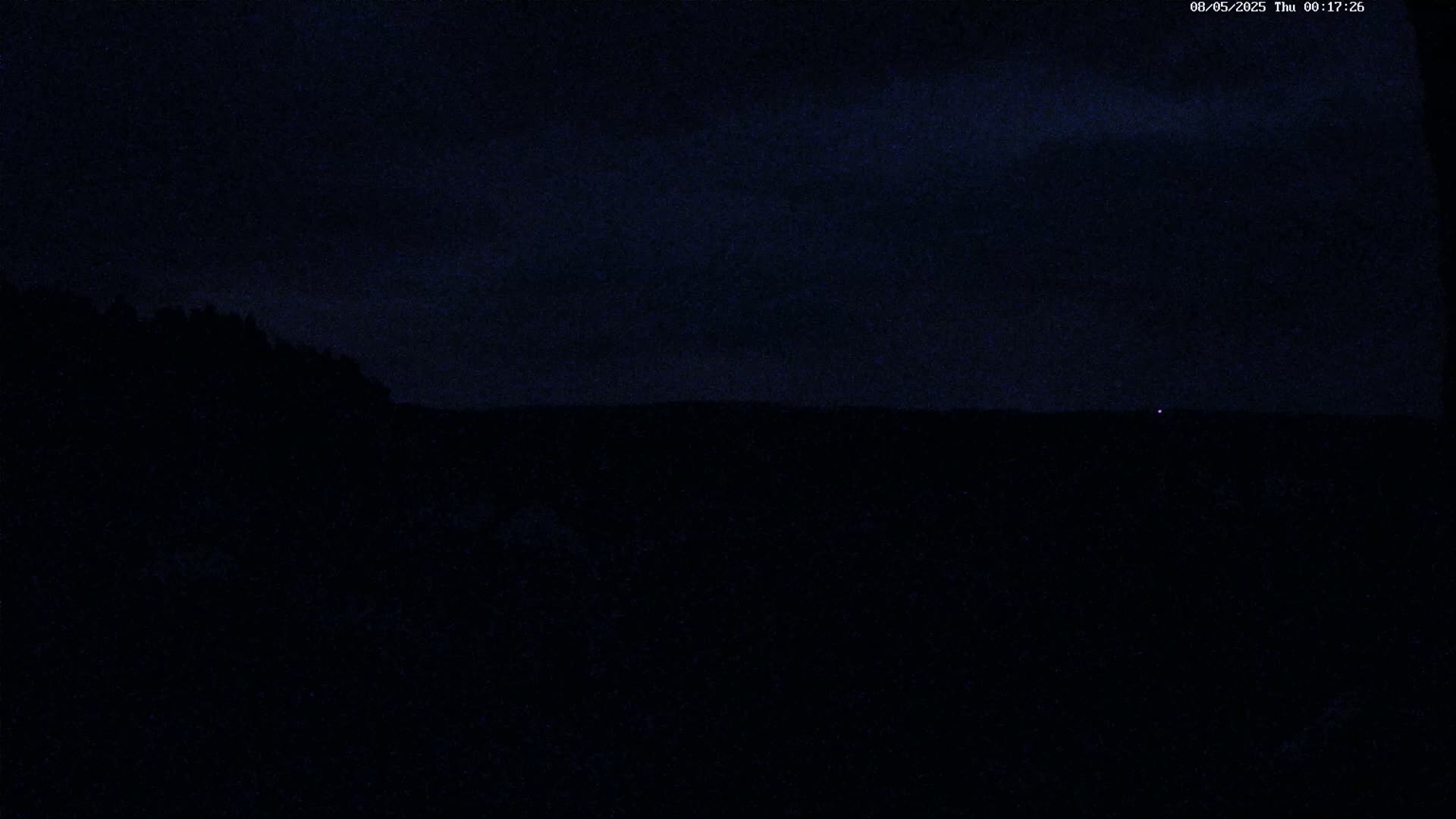 A dark, nighttime landscape shows a silhouetted line of trees against a mostly clear, dark sky with a single, distant light visible on the horizon.