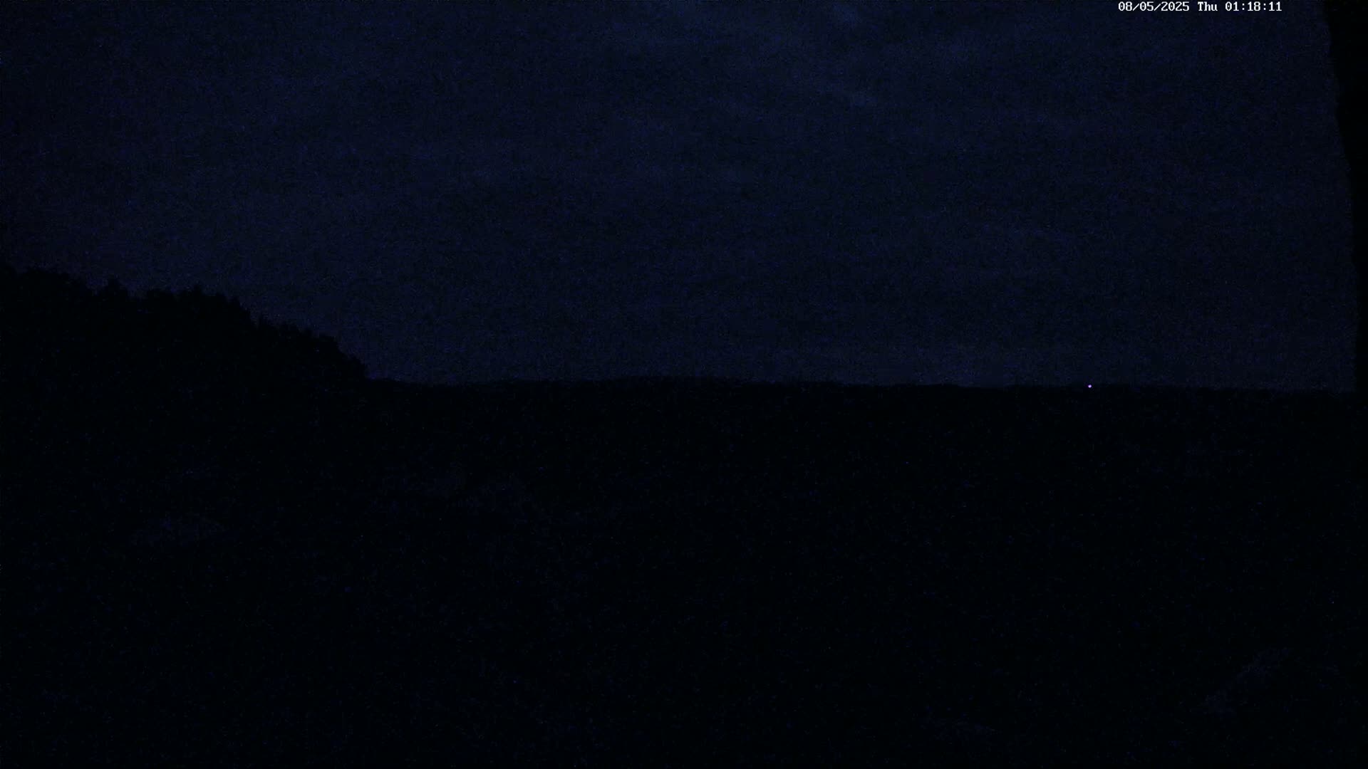 A dark, nighttime landscape is visible, showing a silhouetted line of trees against a mostly clear, dark sky with a single, faint light in the distance.