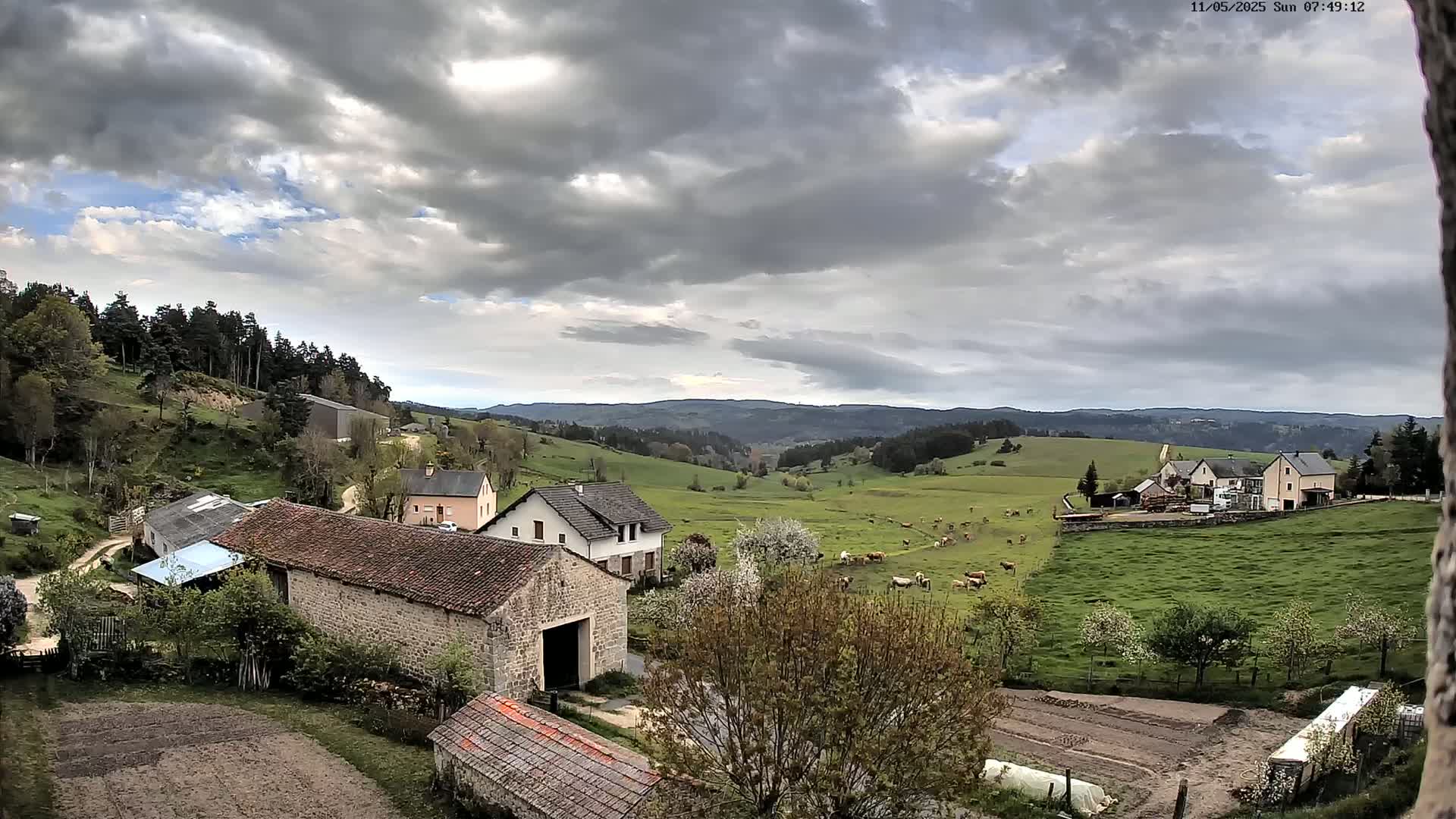 A rural landscape under a cloudy sky shows several stone farm buildings nestled in a valley with green pastures dotted with cows, and a forest in the background.