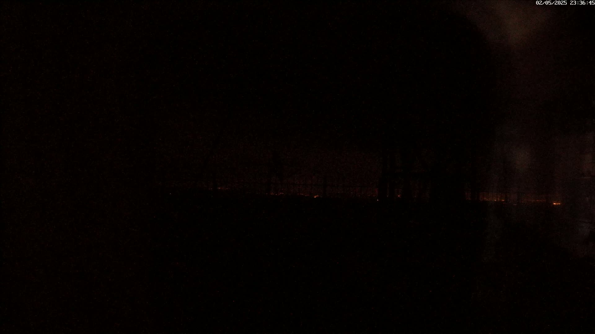 A dark, nighttime scene shows a faint orange glow on the horizon behind a silhouetted line of trees.