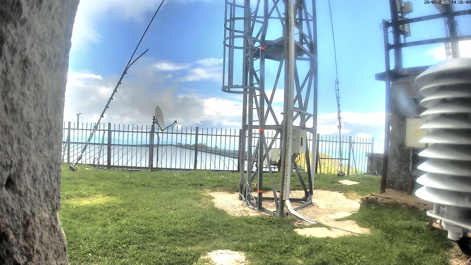 A metal tower with a ladder stands on a grassy area, partially obscured by a tree trunk, under a partly cloudy sky, near a fence, a satellite dish, and a weather station.