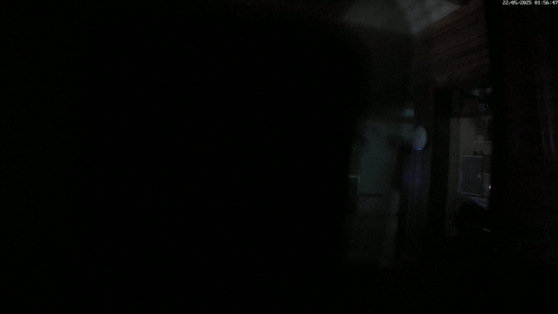 A dimly lit interior space shows a dark figure standing near a doorway, with indistinct objects in the background.