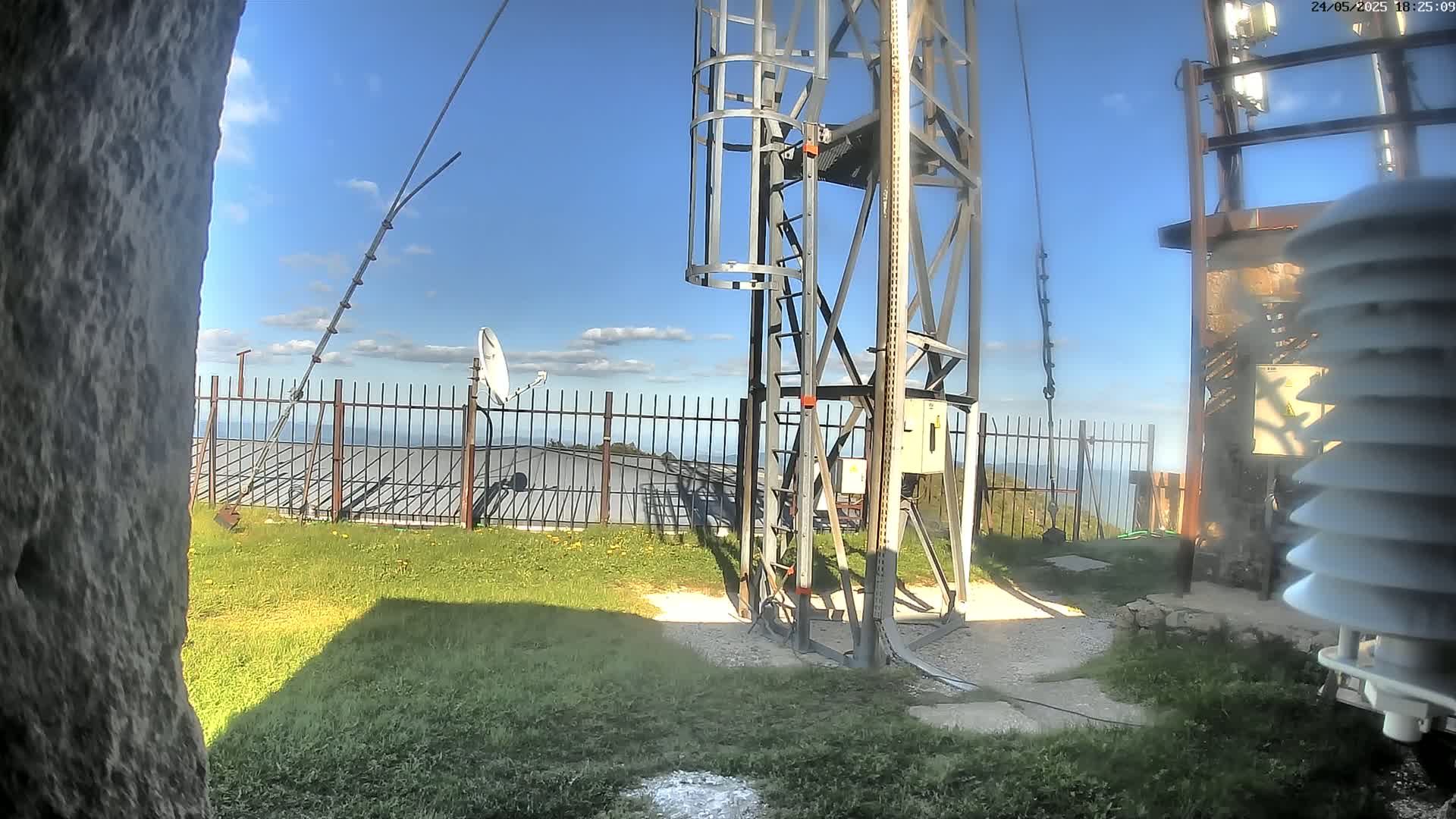 A metal tower with a staircase stands on a grassy area, partially obscured by a tree trunk, under a mostly sunny sky with a few clouds, overlooking a fence and a distant body of water.