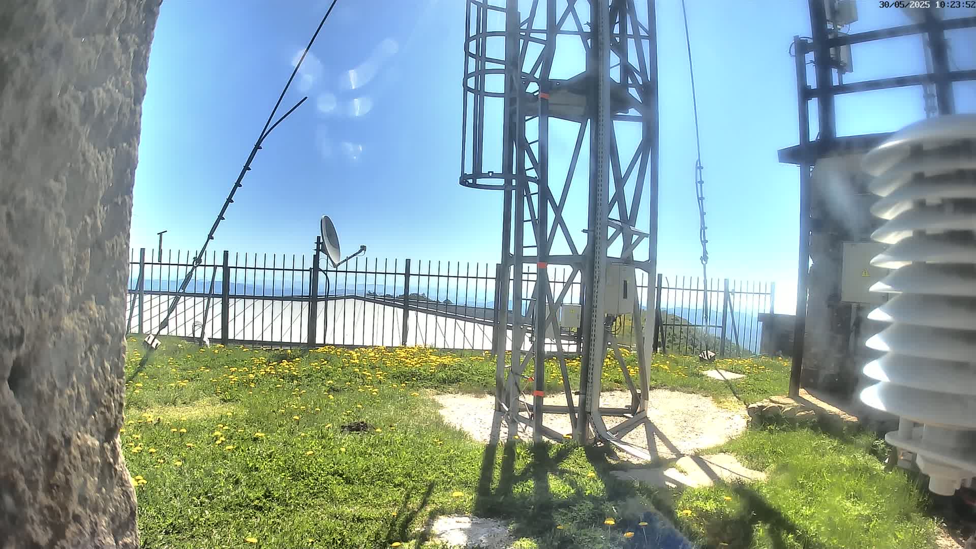 A metal communications tower stands on a grassy area with yellow wildflowers, a metal fence, and a clear blue sky visible beyond it.