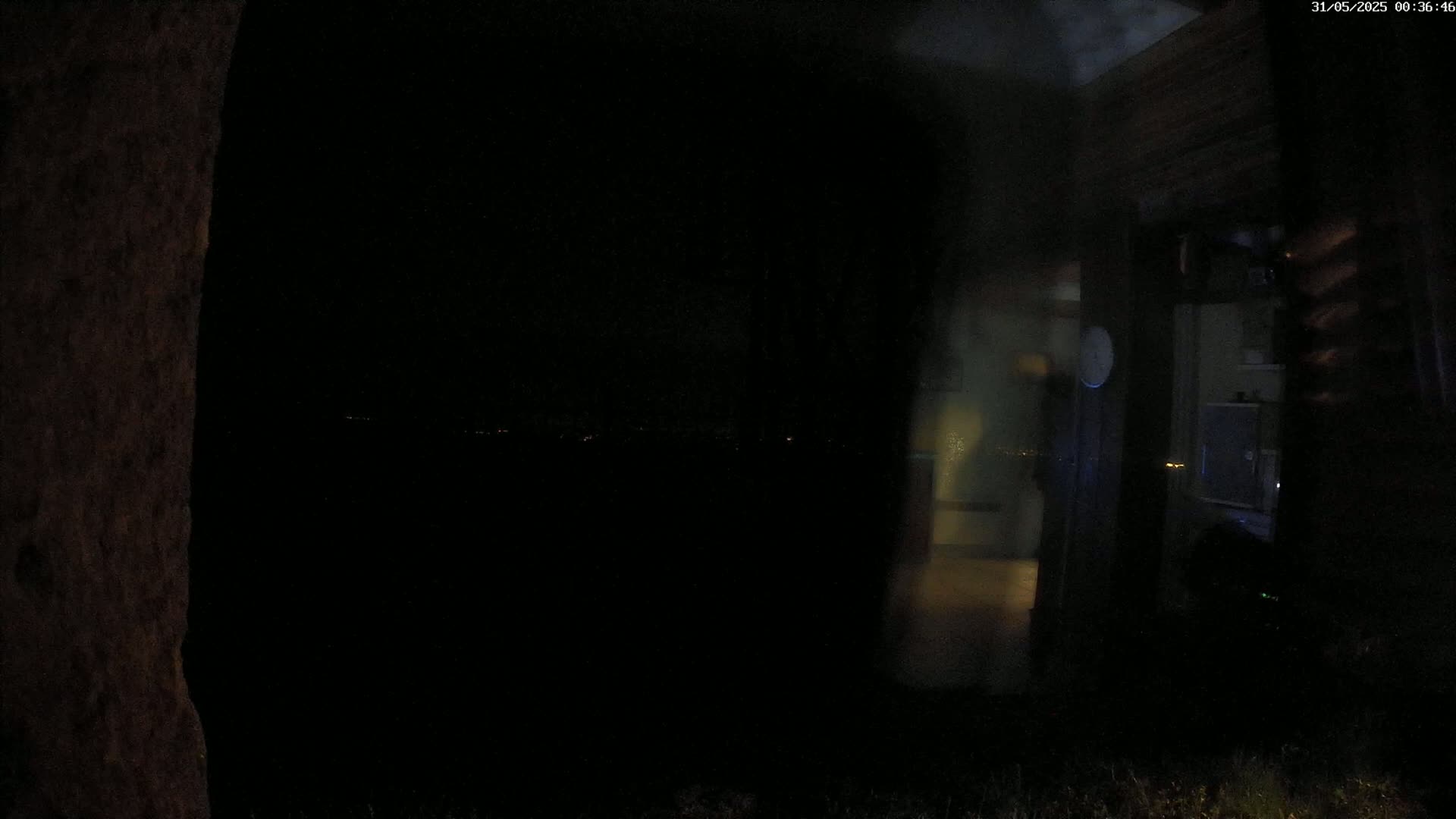 A dark, nighttime scene shows a dimly lit interior through a blurry window, with a figure visible inside and a tree trunk to the left, a distant line of lights visible beyond.