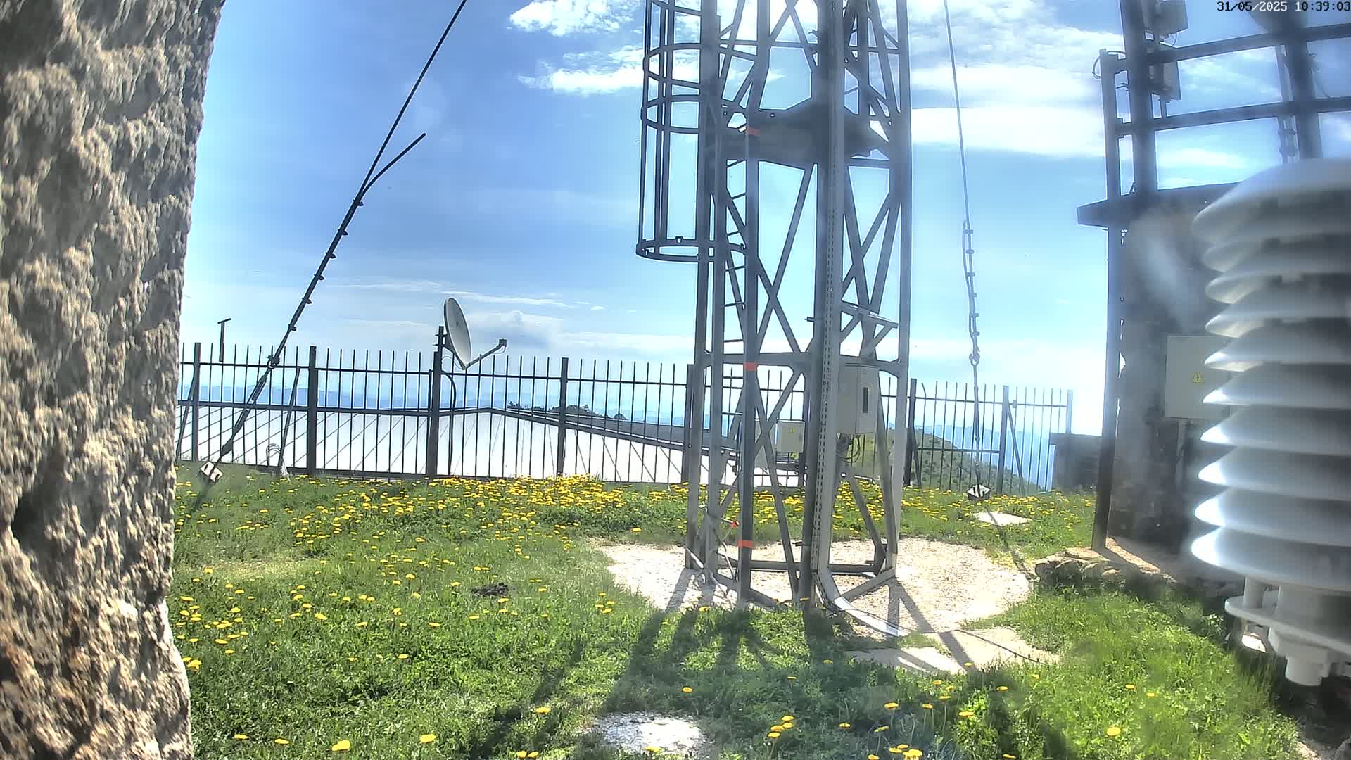 A metal communications tower stands on a grassy hilltop dotted with yellow wildflowers, under a mostly sunny sky with some clouds.