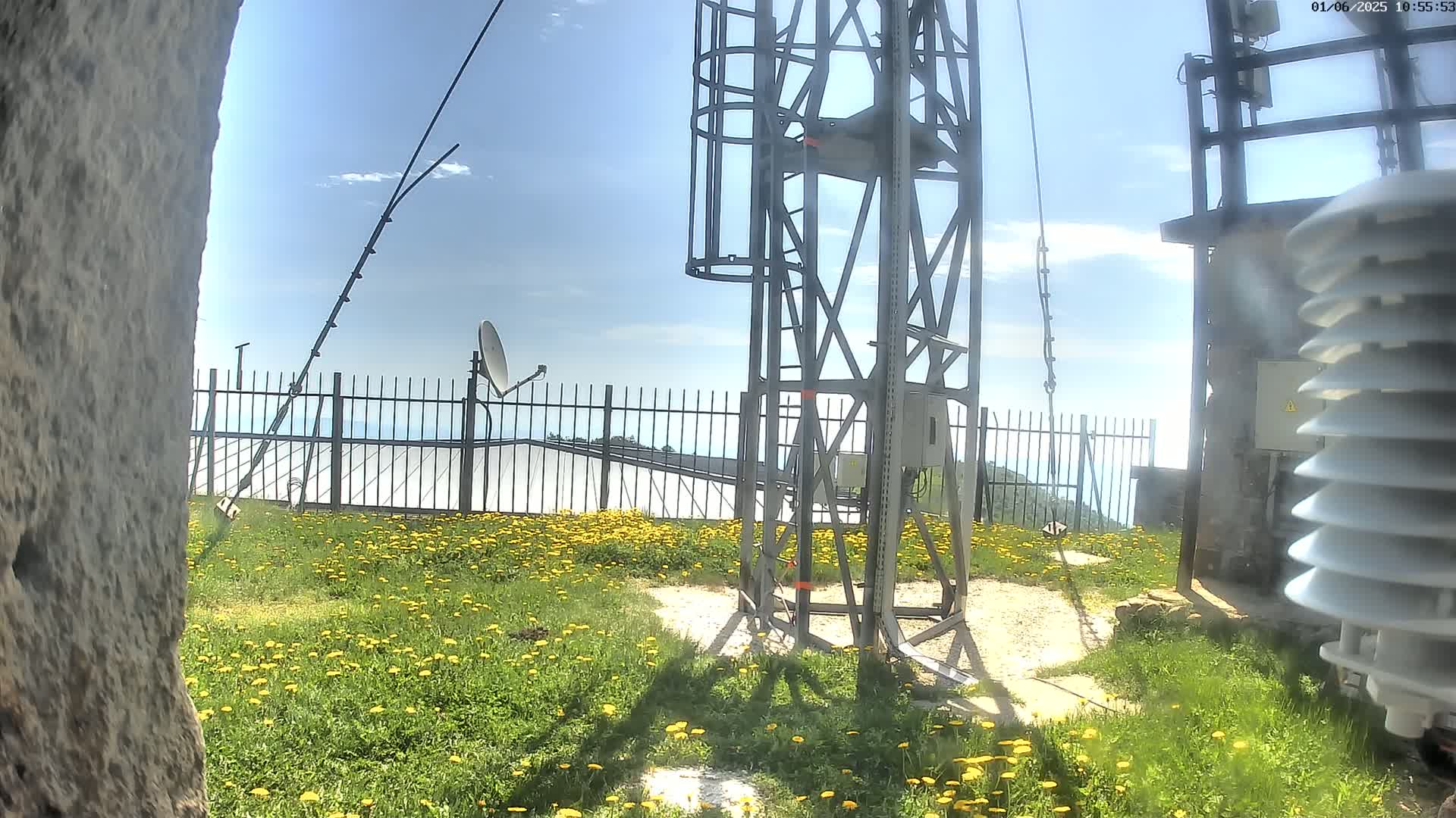 A tall metal tower stands amidst a field of yellow flowers, a satellite dish and weather equipment nearby, under a mostly sunny sky.