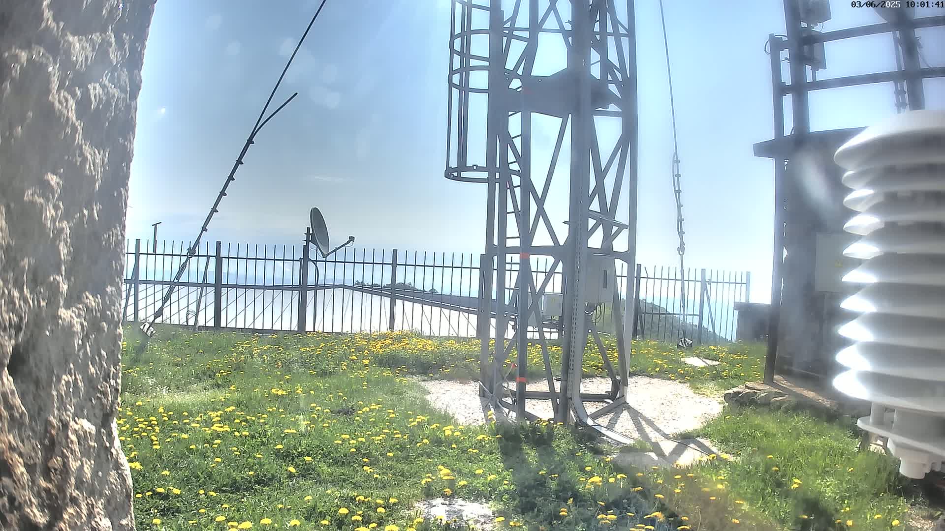 A metal communications tower and weather station stand amidst a field of yellow wildflowers, under a mostly clear blue sky, overlooking a hazy valley.