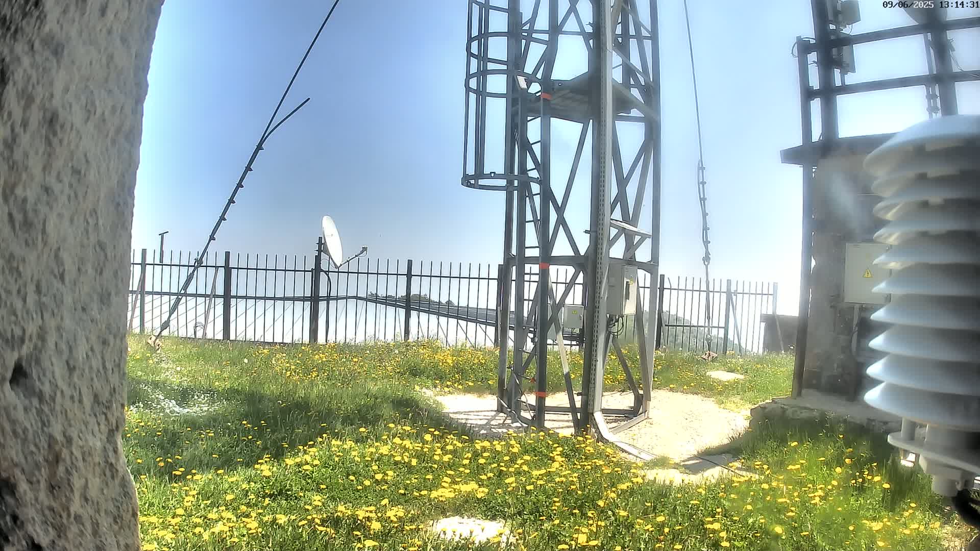 A metal tower with antennas and a satellite dish stands on a grassy hill covered in yellow wildflowers under a clear blue sky.
