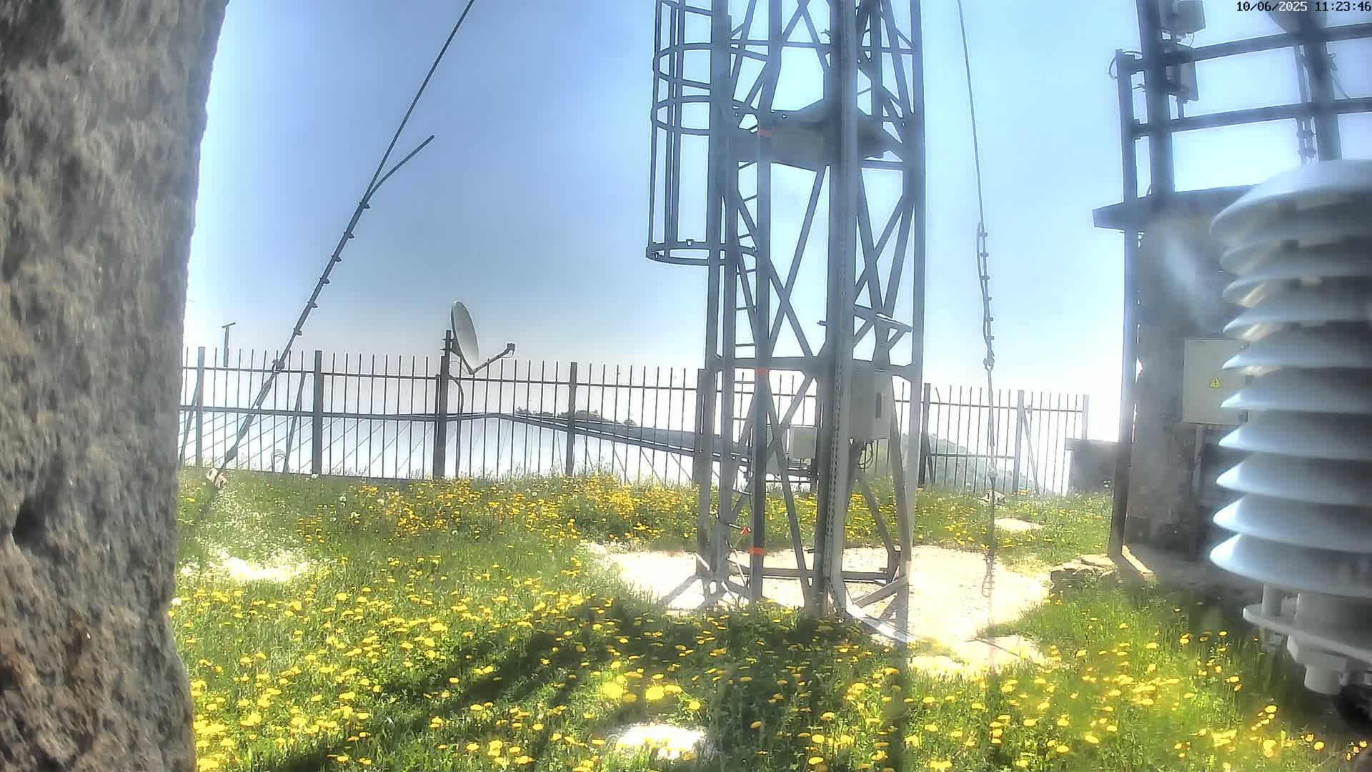 A tall metal structure stands amidst a field of yellow wildflowers on a clear, sunny day, with a satellite dish and other equipment nearby.